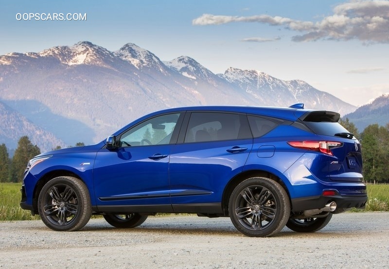 2019 ACURA RDX-oopscars