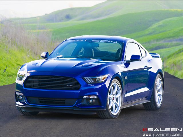 SALEEN_302_WHITE_LABEL_MUSTANG_GT_pic-1