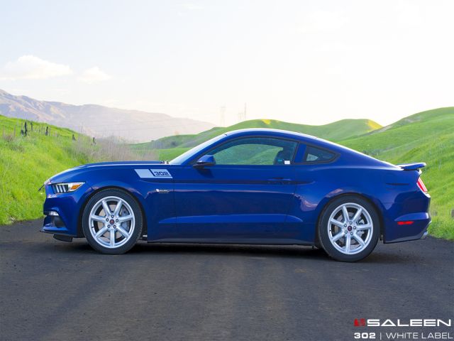 SALEEN 302 WHITE LABEL MUSTANG GT