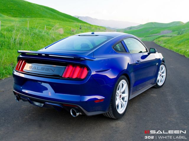 SALEEN 302 WHITE LABEL MUSTANG GT